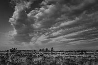 Wolkenhimmel in Schwarz-Weiß