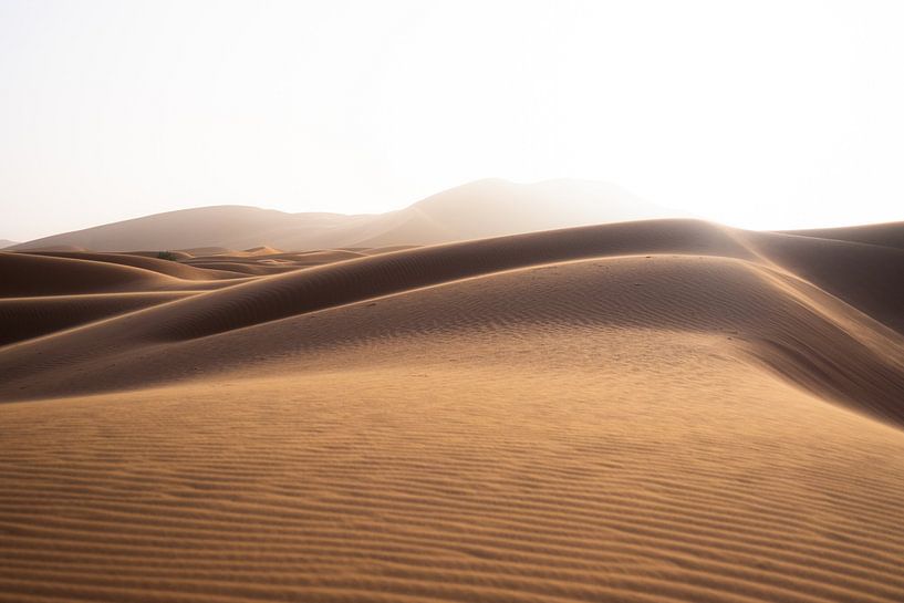 Sahara-Dünen in Marokko von Wouter Kuin