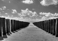 Plage de brise-lames Zoutelande