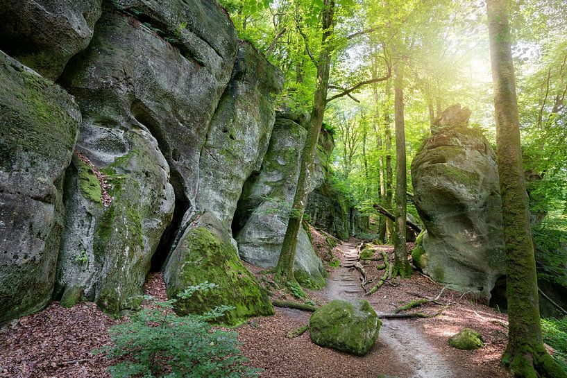 Felsenland, Luxembourg Switzerland, Europe by Alexander Ludwig