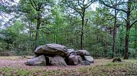 Dolmen auf einer Waldlichtung