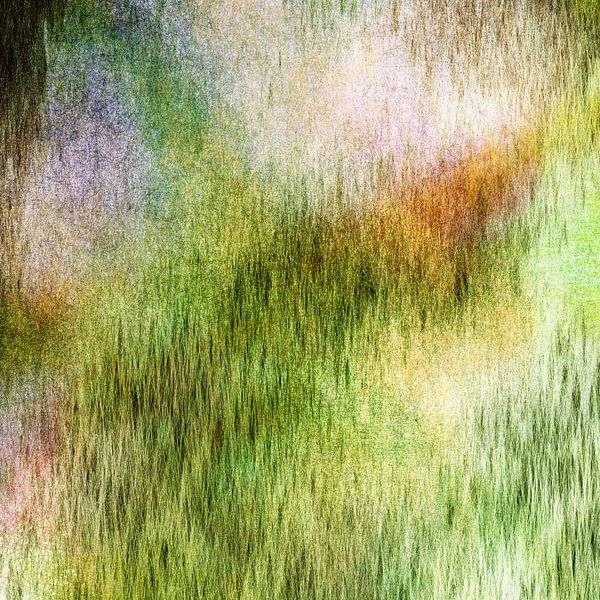 Thousands 04 by Nelson Guerreiro