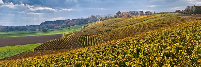 Weingut Der Apostelhof bei Maastricht von Frans Lemmens