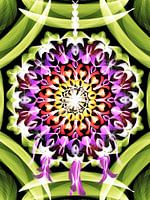 Dreamcatcher mandala