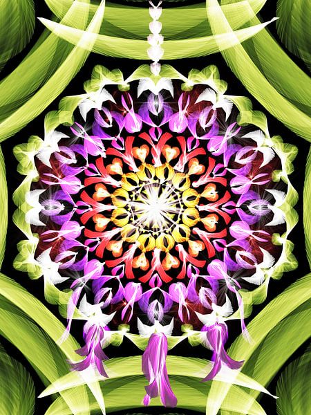 Dreamcatcher mandala by Heidemarie Andrea Sattler