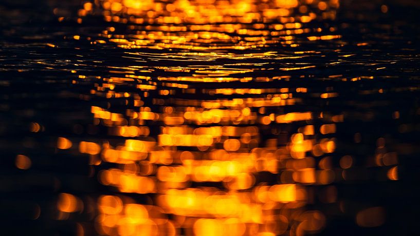 Schwarz und Gold II von Daniela Beyer