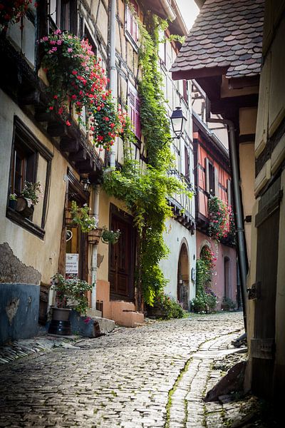 Street view in Eguisheim, Alsace by Michiel Mulder