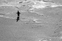 Lonely adelie penguin on ice floe in Antarctica
