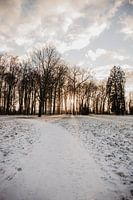 Sonnenaufgang im Winter