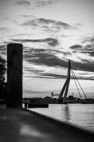 Erasmus Bridge [4] by SVPhotography