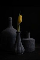 Gelbe Tulpe in grauer Vase
