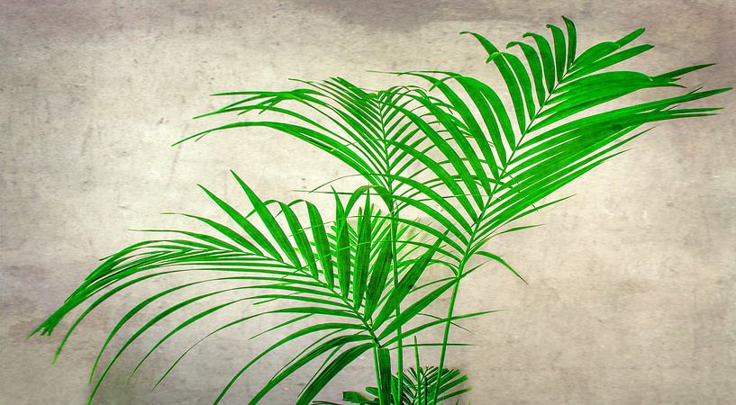 Planung der Anlage von Olivier Photography