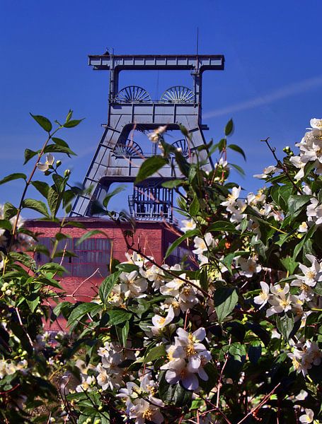 Ewald 2 par Edgar Schermaul