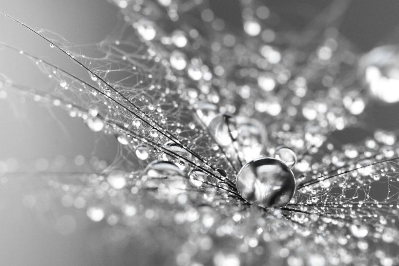 Mystisch von Carla Mesken-Dijkhoff