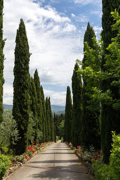 Zypressenallee von Jolanda van Eek en Ron de Jong