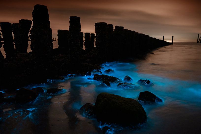 Sea Spark 3 par Andy Troy