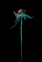 Liquid ART - Fontaine