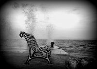 A moment of peace.....