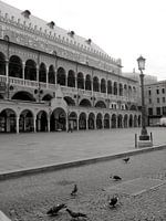 Piazza dei Signori Padua - Italie