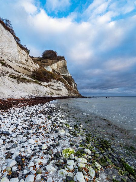 Ostseeküste auf der Insel Moen in Dänemark par Rico Ködder