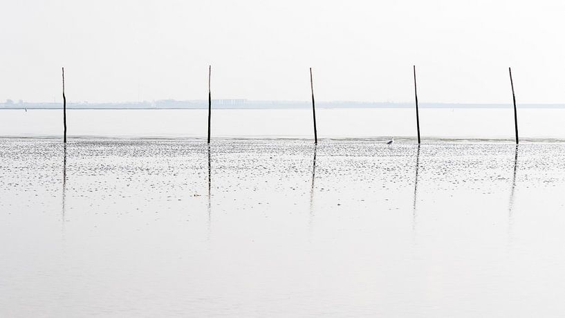 Was Wad von Wouter Vroom