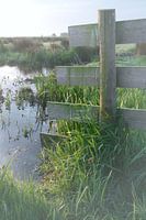 Zaun bei Sonnenaufgang