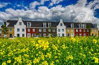 Nieuwbouw met Zomerbloemen