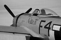 Republik P-47D Thunderbolt Warbird