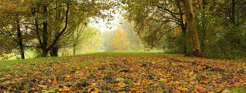 In the beginning by Pauli Langbein