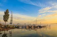 Der Untersee bei Moos - Halbinsel Höri - Bodensee