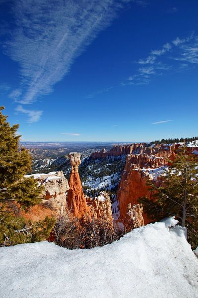 Thors hammer Bryce Canyon National Park, Utah, United States by Discover Dutch Nature