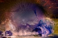 Tournesol dans la glace