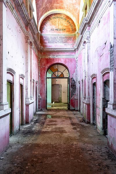 Abandoned Hallway in Decay with Cat. by Roman Robroek - Photos of Abandoned Buildings