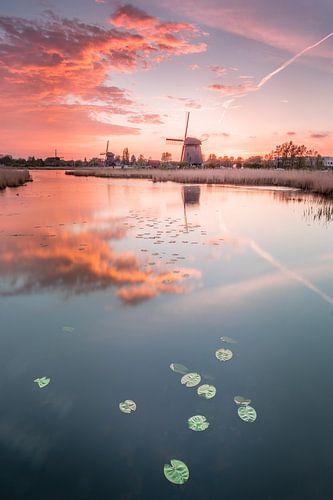Moulin dans le miroir au coucher du soleil avec des couleurs calmes sur Sven van der Kooi (kooifotografie)
