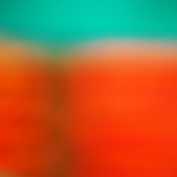 Upendo par Insolitus Fotografie