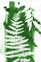 Feuilles vertes abstraites