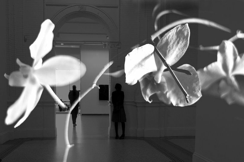 Orchidee dag von Marianna Pobedimova