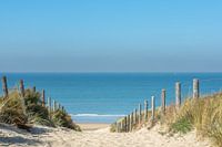 Dünenweg zum Strand von Zandvoort