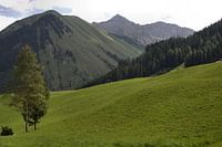 Oostenrijks landschap