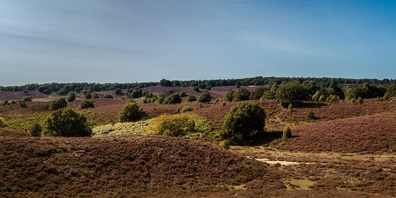 De Posbank - Rheden 1 par Nuance Beeld