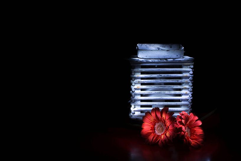 Schlichtheit schmückt die Kunst. von Ratna Bosch