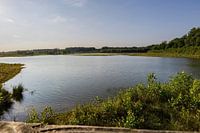 Blick vom Vogelhäuschen in Averbode