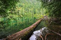 Reflecties in een bergmeer op Vancouver Island