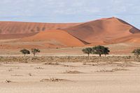 Namib-Wüste