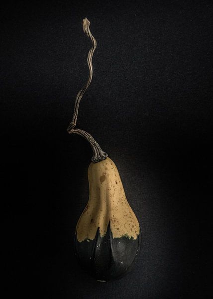 Gourds No 16 Color Version by The Learning Curve Photography