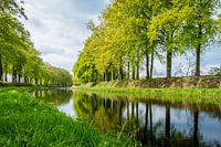 Le printemps sur le Schipbeek