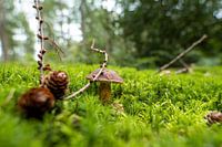 Kleine Welt, große Hindernisse