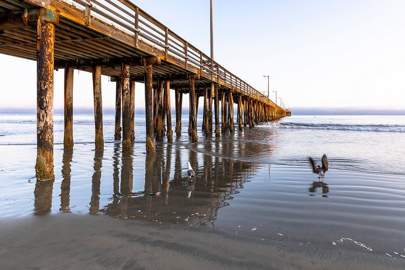 Holzsteg im weiten Meer von Remco Bosshard