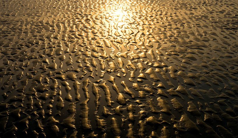 0205 Gold von Adrien Hendrickx