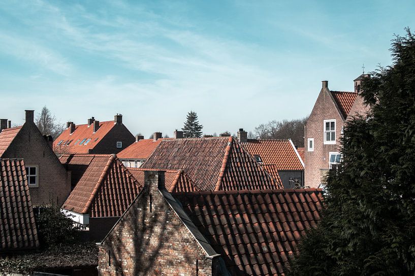 orange and blue; a forest of roofs by Bert-Jan de Wagenaar